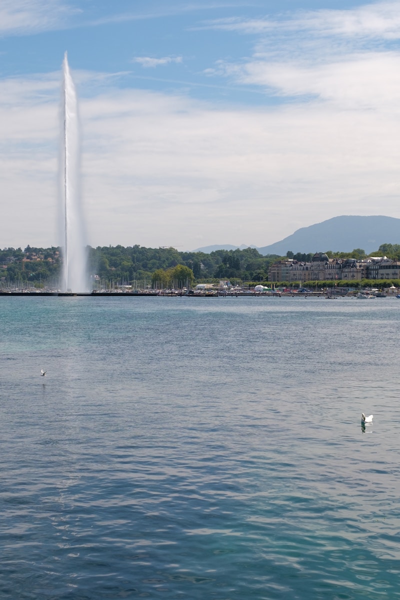 Photo by Stefan Scheepmaker A tall water fountain towers over a tranquil lake.